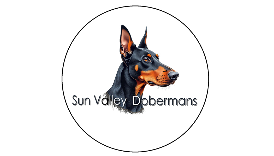 Sun Valley Doberman's logo